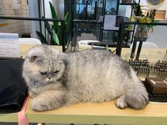 -Oasis绿洲银饰珍珠手作diy(壹方城店)