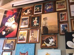 -猫咪博物馆(顶澳仔猫街店)