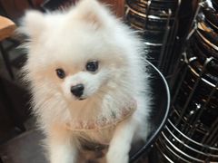 -南园路·韦四烧烤(南园路店)