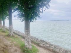 -阳澄湖半岛旅游度假区