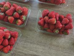 -灯旺水果(常福店)