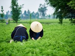 -姚记.周礼伤心凉粉(时代广场店)