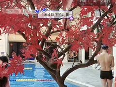 -碧水豪园·足浴·SPA·汗蒸·那须汤泉(中山东路店)