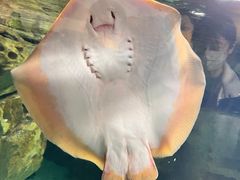 -珠海长隆海洋王国