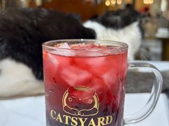 -猫小院猫主题餐厅(南锣旗舰店)
