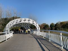 -同里国家湿地公园