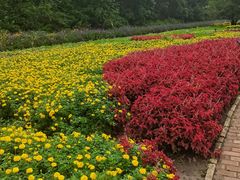 -黑龙江省森林植物园