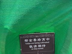 -翠湖公园