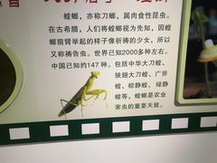 -上海昆虫博物馆