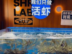 -0048鲜活香辣虾·火锅(铜陵路店)