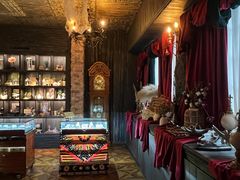 -雪灵魔法世界SHELLY’S TAROT(大良桂畔里店)