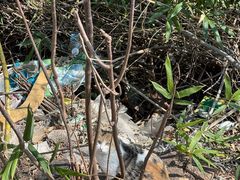 -四门塔风景区