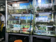-阳江餐厅·30年老字号·粤菜海鲜大排档