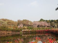 -广州莲花山旅游区