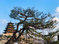 -景福宫