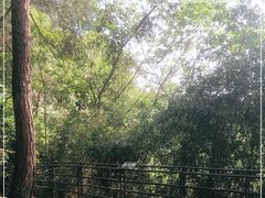 -保利石象湖景区