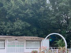 -芭厘农庄老字号·清远鸡