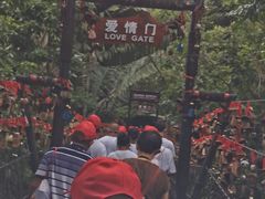 -呀诺达热带雨林