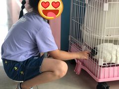 -赛卡联盟WSK卡丁车俱乐部