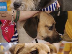 -远洋未来广场(育慧北路店)