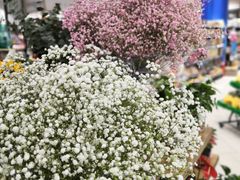 -城市之间超市(圆融星座店)