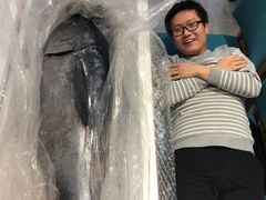 蓝旗金枪鱼-一本钓鲔鱼屋