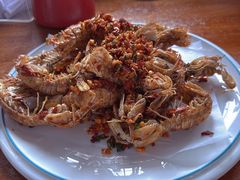 -坛南湾阿强农家乐.海鲜大排档老字号(福州地标美食店)