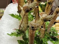 -尚海豆捞(乐虹坊店)