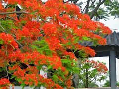 -广东花都香草世界旅游度假区
