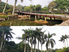 -荔枝公园(福田区)