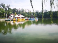 -莲湖公园
