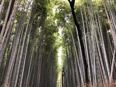 -野宫神社