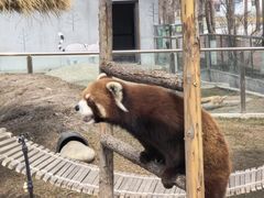 -水上乐园·欢乐世界