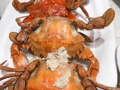 -小天妃海鲜酒楼(西马庄店)