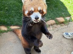-云南野生动物园