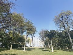 -月湖风景区