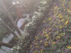 -西湖外事游船(花港观鱼码头)