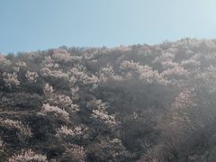 -妙峰山风景名胜区