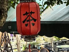 -阿巧茶庄