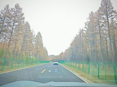 -御道口草原森林风景区
