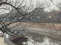 -赵州桥景区