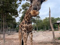 -清迈夜间动物园