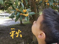 -白塘生态植物园
