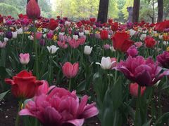 -长春公园(普阳街道)