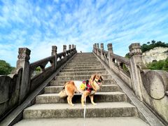 -柯岩风景区