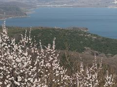 -棋盘山风景区