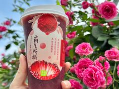 -奈雪的茶(红谷滩万达广场店)