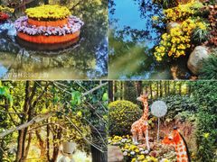 -上海共青森林公园