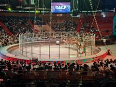 -俄罗斯国家大马戏团