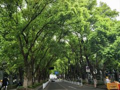 -杭州半山国家森林公园